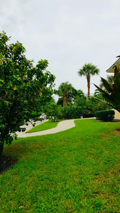 出租: $3,450 (2 贝兹, 2 浴室, 1200 平方英尺)