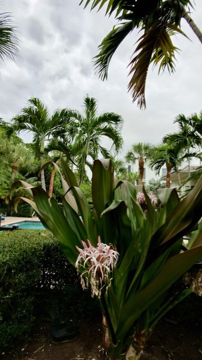 出租: $3,450 (2 贝兹, 2 浴室, 1200 平方英尺)