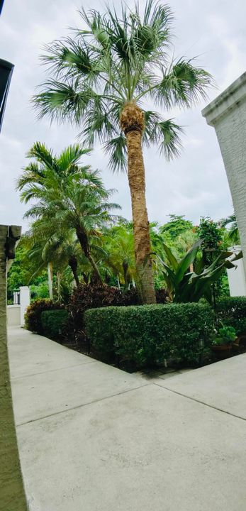 出租: $3,450 (2 贝兹, 2 浴室, 1200 平方英尺)