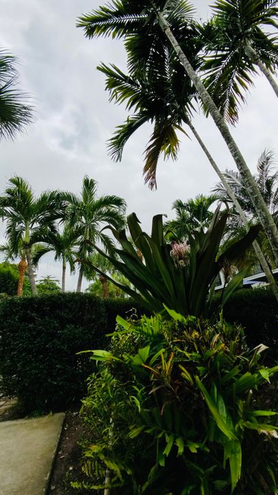 出租: $3,450 (2 贝兹, 2 浴室, 1200 平方英尺)