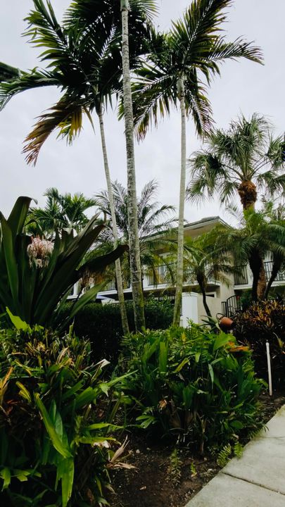 出租: $3,450 (2 贝兹, 2 浴室, 1200 平方英尺)