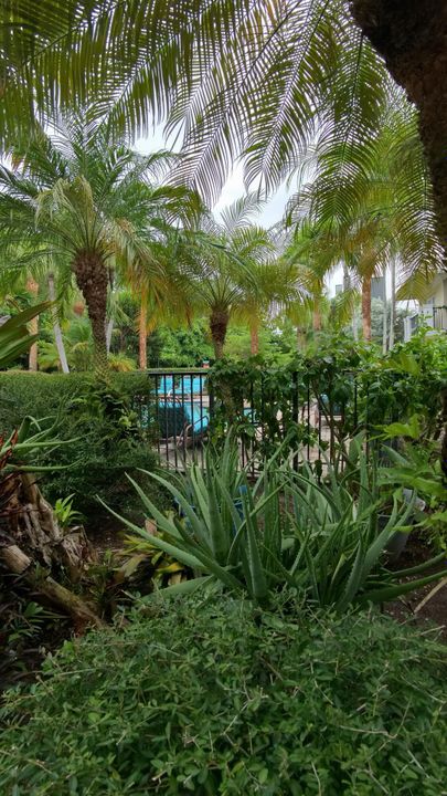 出租: $3,450 (2 贝兹, 2 浴室, 1200 平方英尺)