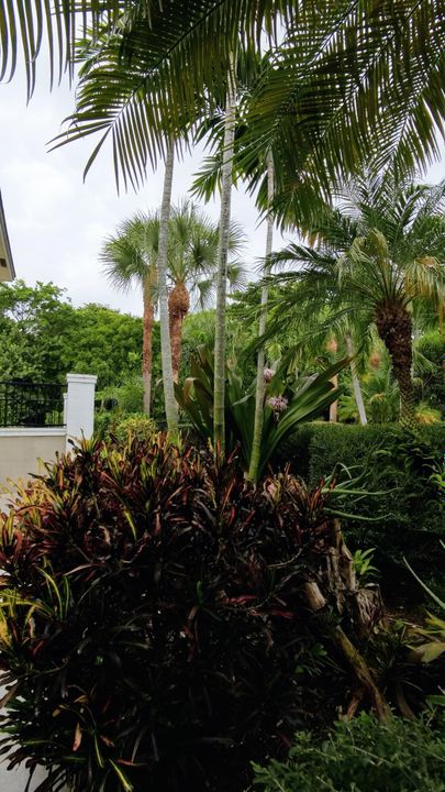 出租: $3,450 (2 贝兹, 2 浴室, 1200 平方英尺)