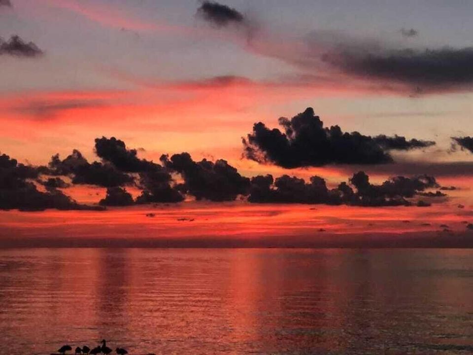 待售: $1,400,000 (4 贝兹, 3 浴室, 1840 平方英尺)