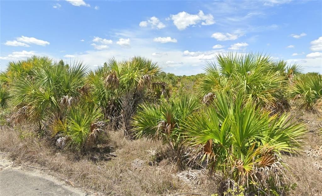 En Venta: $25,000 (0 camas, 0 baños, 0 Pies cuadrados)