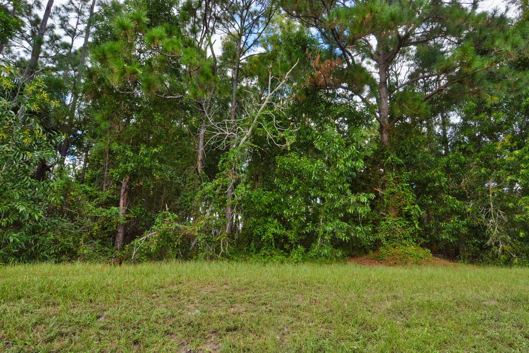 For Sale: $180,000 (0 beds, 0 baths, 0 Square Feet)