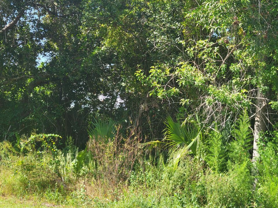 合同活跃: $142,500 (0 贝兹, 0 浴室, 0 平方英尺)