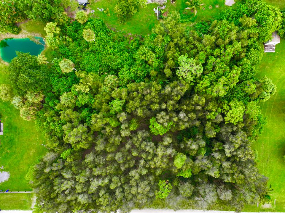 待售: $259,000 (0 贝兹, 0 浴室, 0 平方英尺)