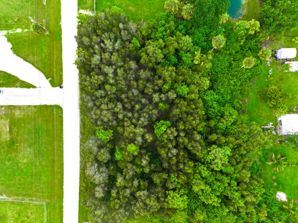 待售: $259,000 (0 贝兹, 0 浴室, 0 平方英尺)