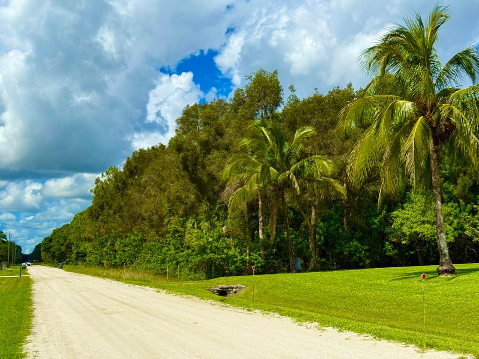 待售: $259,000 (0 贝兹, 0 浴室, 0 平方英尺)