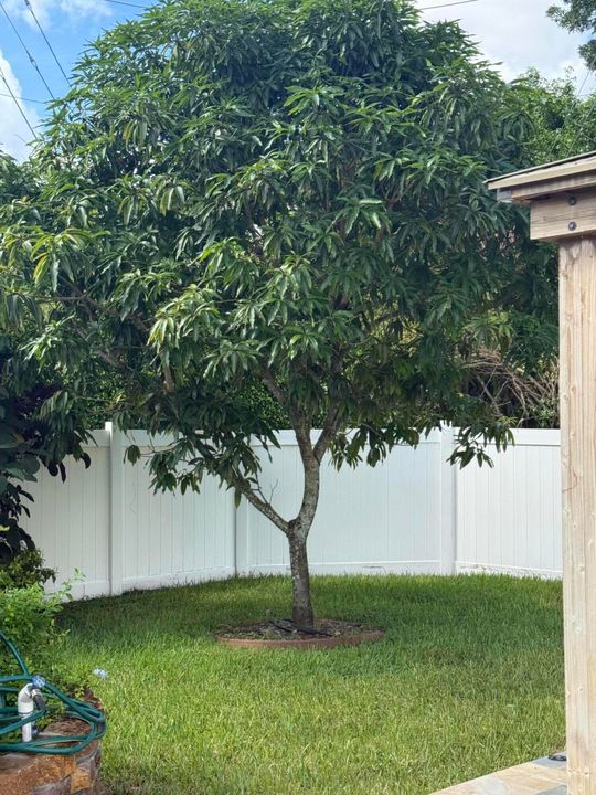 Activo con contrato: $699,000 (4 camas, 2 baños, 2246 Pies cuadrados)