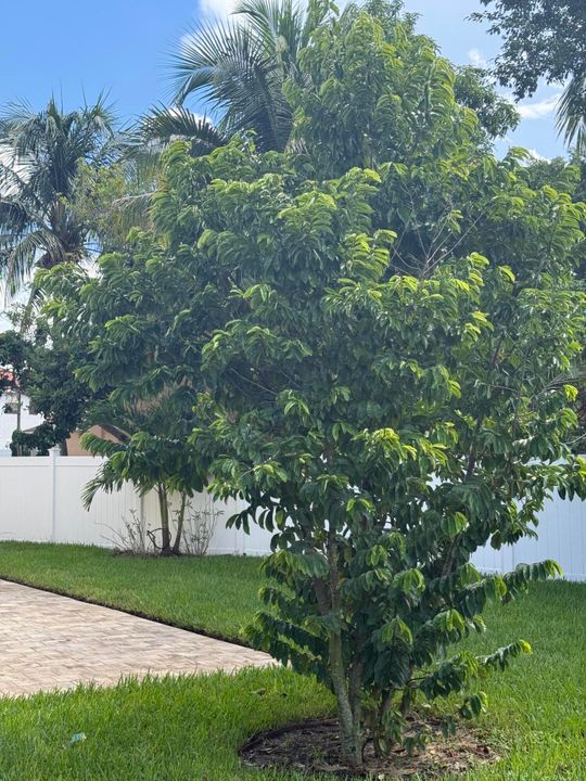 Activo con contrato: $699,000 (4 camas, 2 baños, 2246 Pies cuadrados)