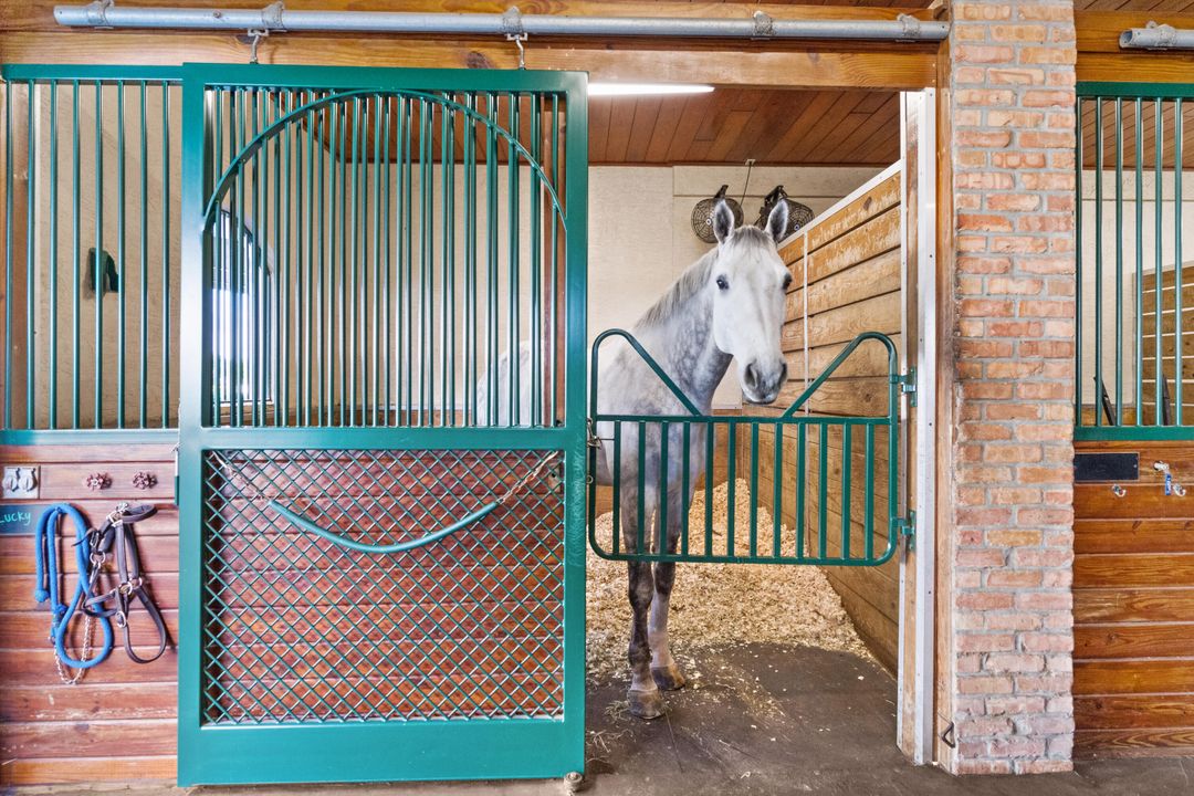 En Venta: $10,975,000 (1 camas, 2 baños, 1580 Pies cuadrados)