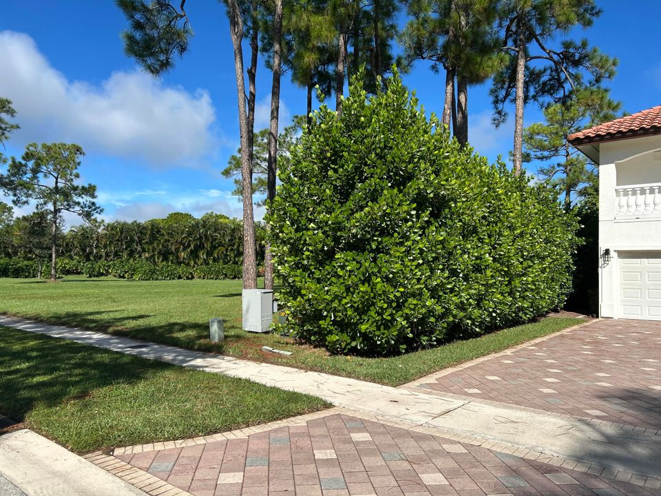 待售: $1,550,000 (5 贝兹, 3 浴室, 5464 平方英尺)