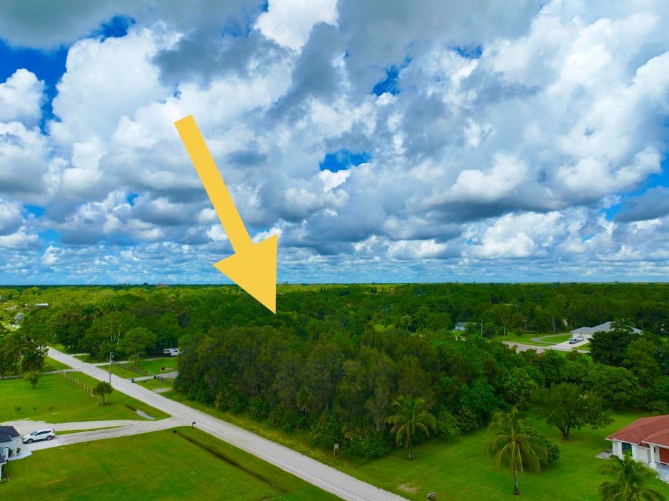 待售: $259,000 (0 贝兹, 0 浴室, 0 平方英尺)