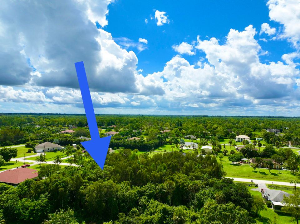 待售: $259,000 (0 贝兹, 0 浴室, 0 平方英尺)