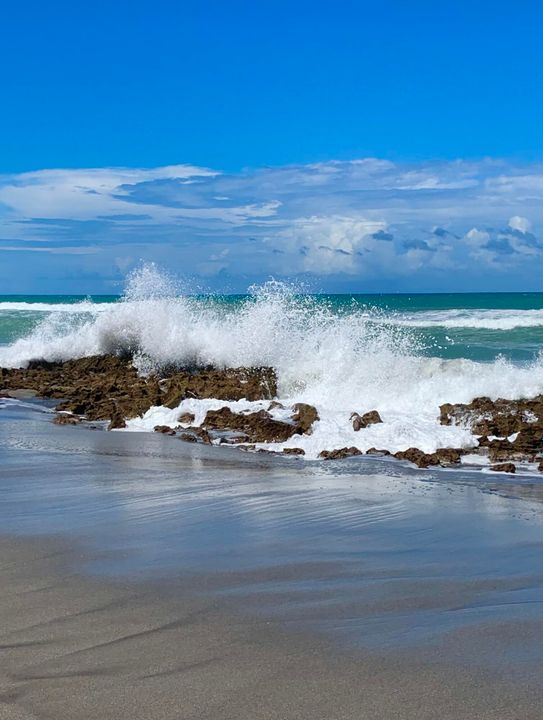 En Venta: $525,000 (2 camas, 2 baños, 1188 Pies cuadrados)