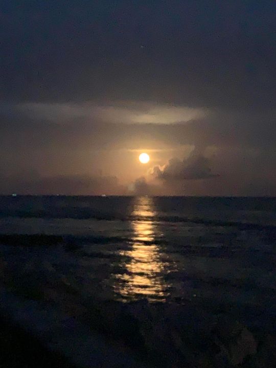 En Venta: $525,000 (2 camas, 2 baños, 1188 Pies cuadrados)