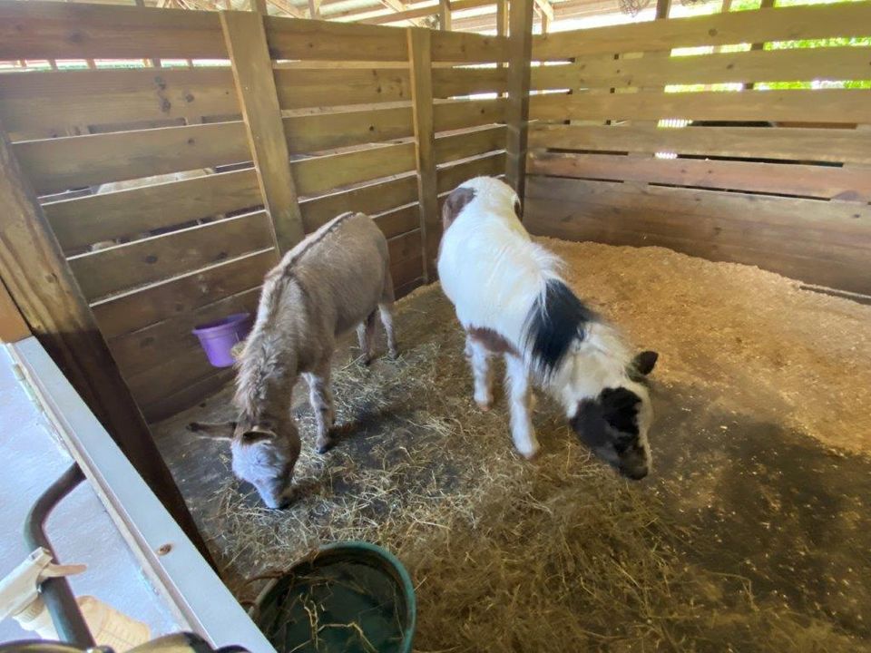 В аренду: $1,750 (0 спален, 1 ванн, 320 Квадратных фут)