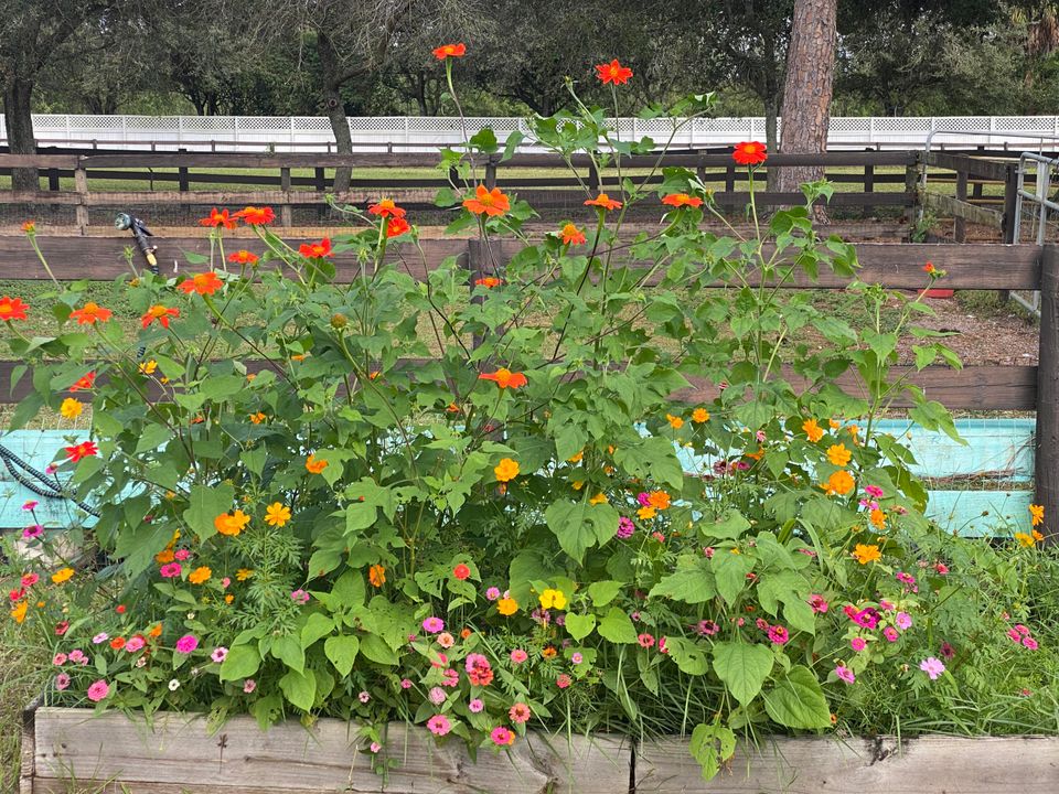 В аренду: $1,750 (0 спален, 1 ванн, 320 Квадратных фут)