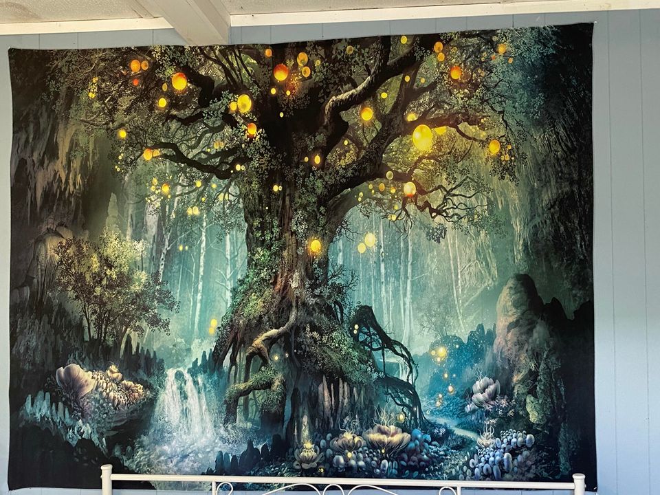 En Renta: $1,550 (0 camas, 1 baños, 320 Pies cuadrados)