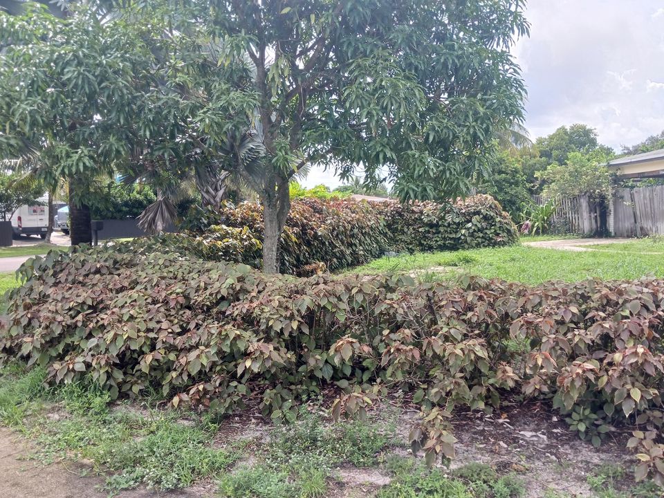 Active With Contract: $400,000 (3 beds, 2 baths, 1008 Square Feet)