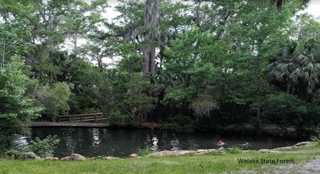 For Sale: $8,499 (0 beds, 0 baths, 0 Square Feet)