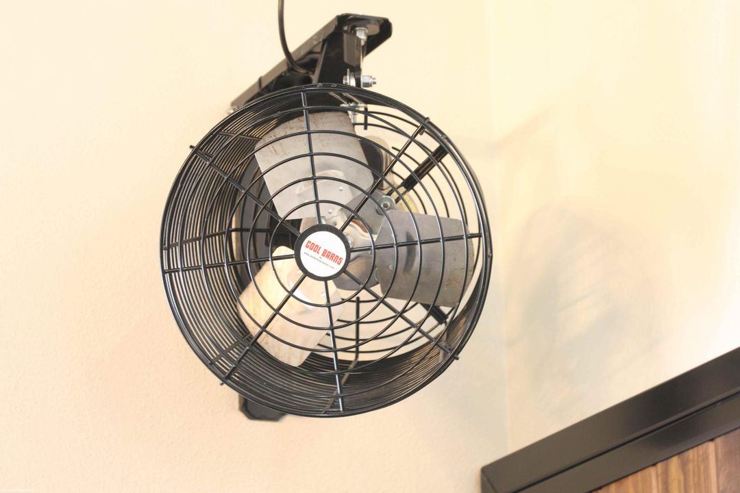 出租: $13,500 (1 贝兹, 2 浴室, 870 平方英尺)