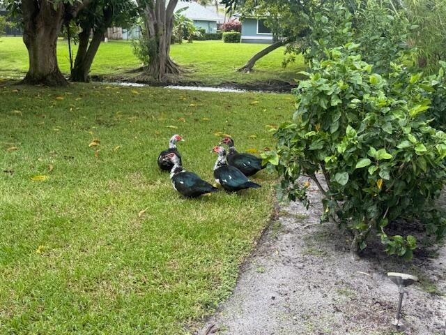 В аренду: $9,500 (4 спален, 3 ванн, 3000 Квадратных фут)