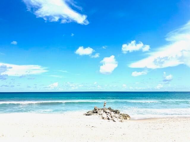 В аренду: $9,500 (4 спален, 3 ванн, 3000 Квадратных фут)