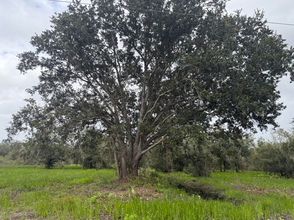 待售: $74,495 (0 贝兹, 0 浴室, 0 平方英尺)