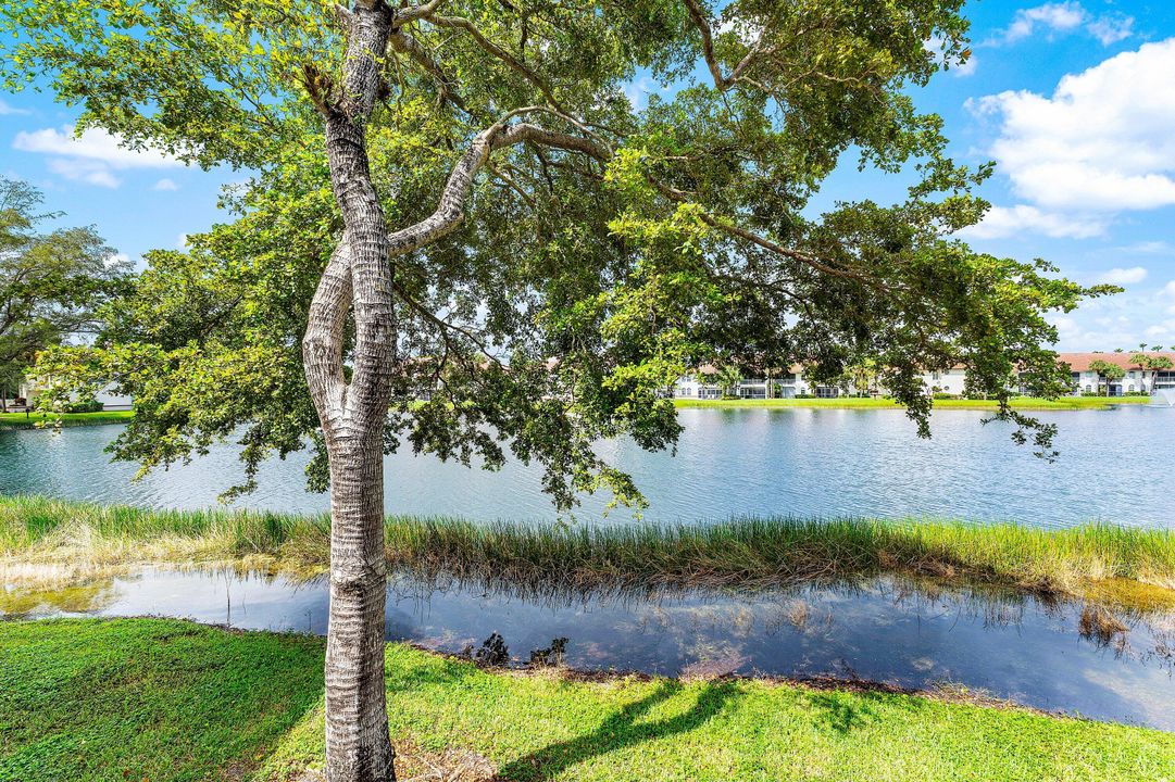 合同活跃: $159,888 (1 贝兹, 1 浴室, 502 平方英尺)