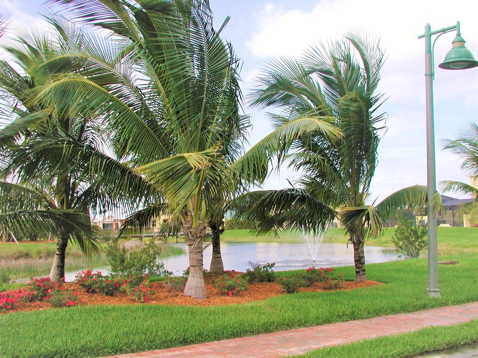 For Rent: $3,000 (3 beds, 3 baths, 2146 Square Feet)