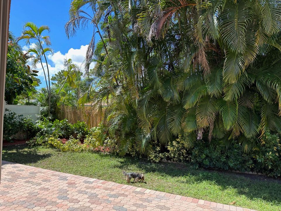 For Rent: $4,500 (3 beds, 2 baths, 1618 Square Feet)