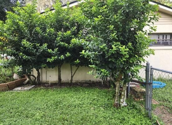 待售: $189,000 (3 贝兹, 2 浴室, 1260 平方英尺)