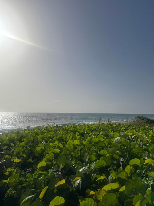 合同活跃: $1,100 (0 贝兹, 1 浴室, 400 平方英尺)