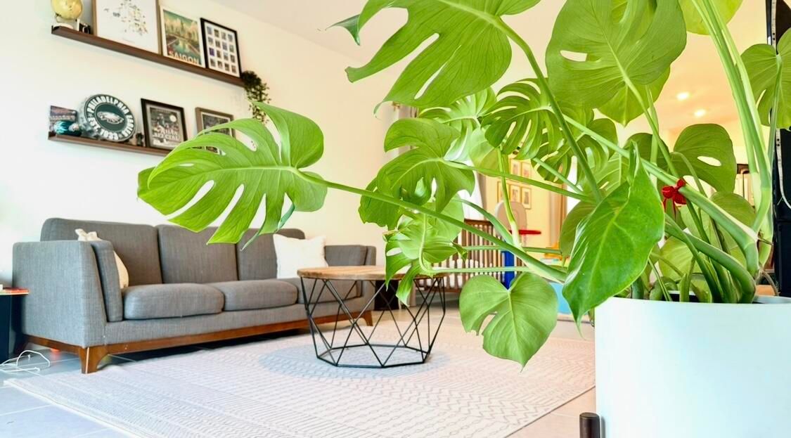 En Venta: $295,000 (3 camas, 2 baños, 1451 Pies cuadrados)