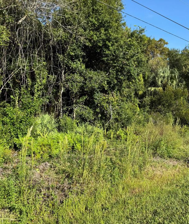 For Sale: $30,000 (0 beds, 0 baths, 0 Square Feet)