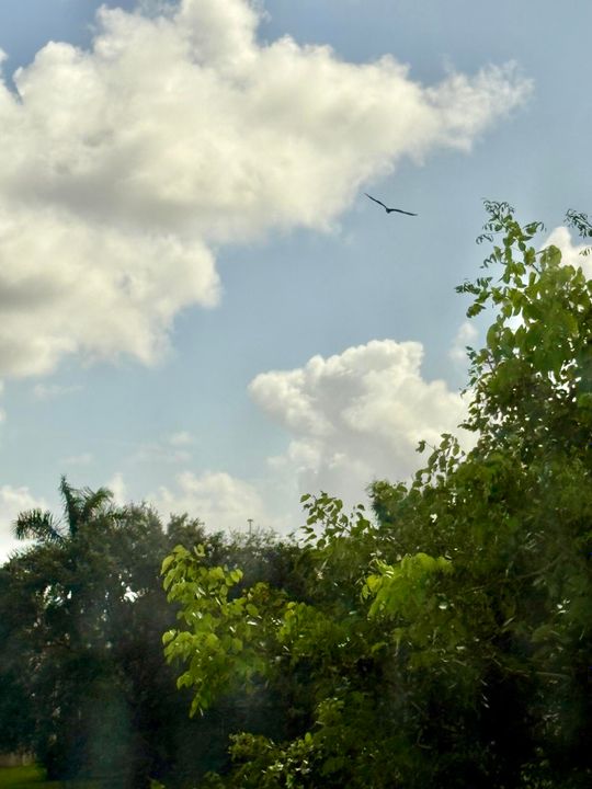 Activo con contrato: $5,200 (5 camas, 3 baños, 4045 Pies cuadrados)