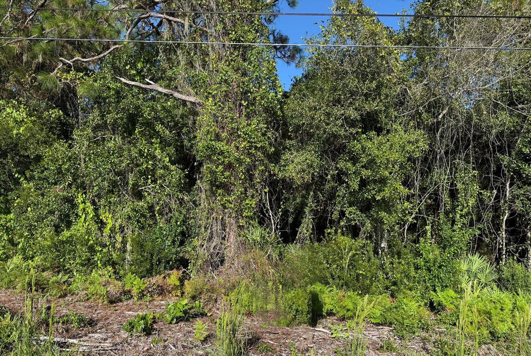 For Sale: $30,000 (0 beds, 0 baths, 0 Square Feet)