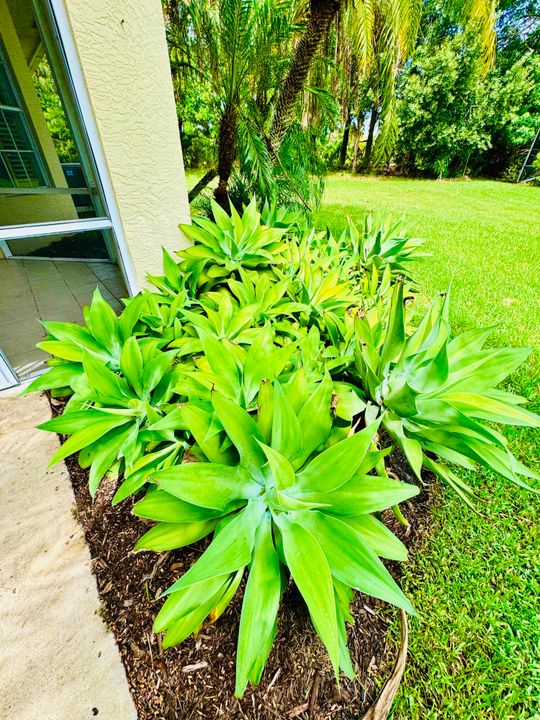 Под контрактом: $294,900 (2 спален, 3 ванн, 1732 Квадратных фут)