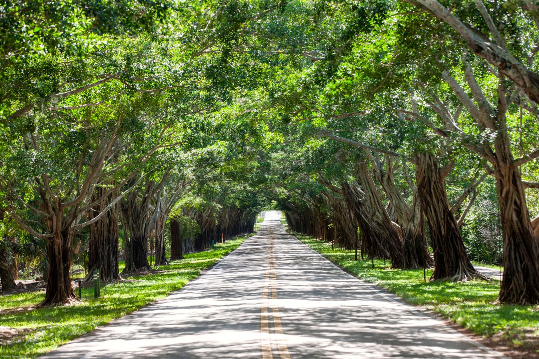 На продажу: $5,750,000 (3 спален, 3 ванн, 2226 Квадратных фут)