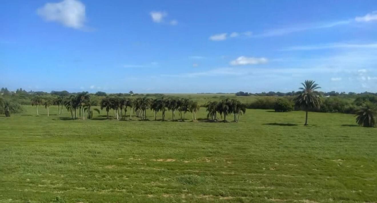 待售: $1,960,000 (0 贝兹, 0 浴室, 0 平方英尺)