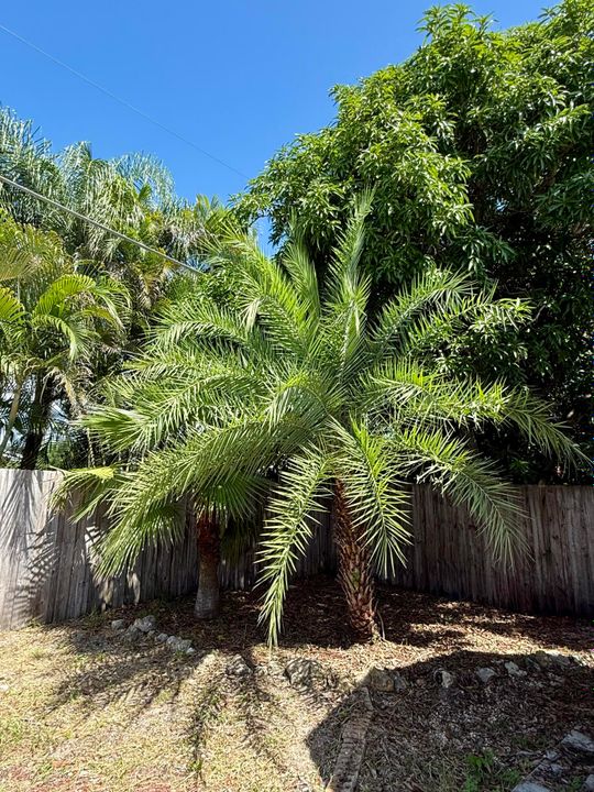 For Sale: $439,000 (4 beds, 2 baths, 1603 Square Feet)