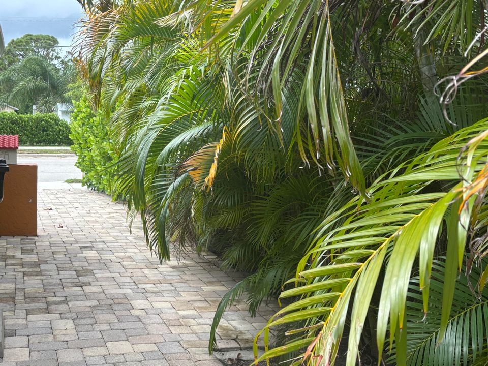 For Rent: $1,600 (1 beds, 1 baths, 600 Square Feet)