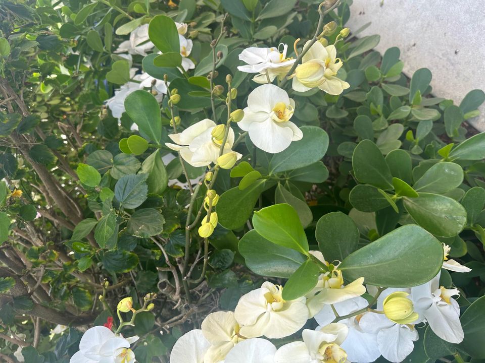 For Sale: $725,000 (2 beds, 2 baths, 1346 Square Feet)