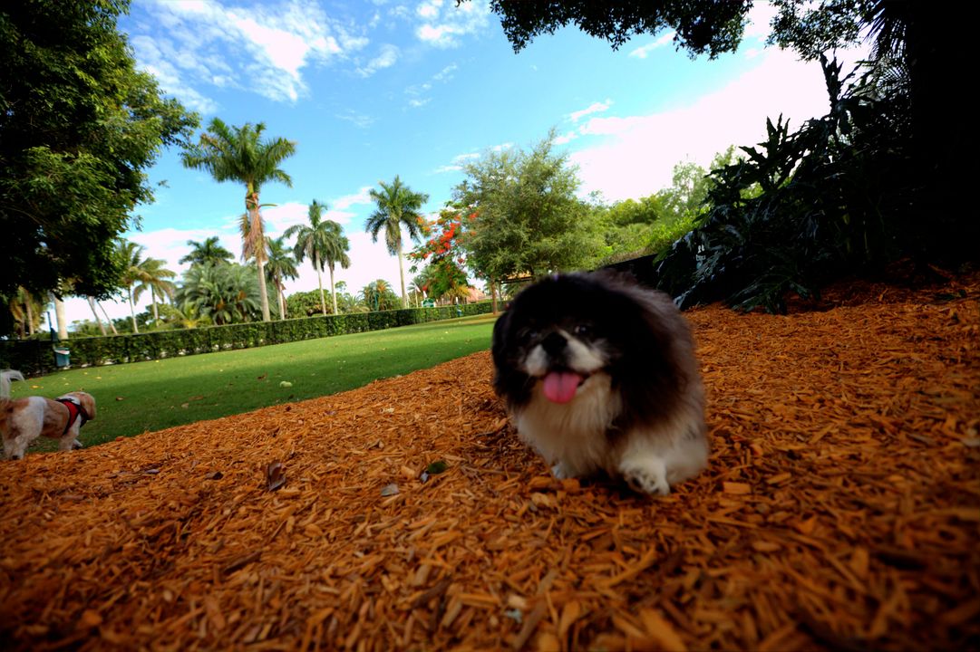 For Sale: $599,900 (2 beds, 2 baths, 2327 Square Feet)