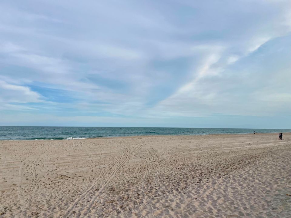 В аренду: $6,500 (2 спален, 2 ванн, 1300 Квадратных фут)