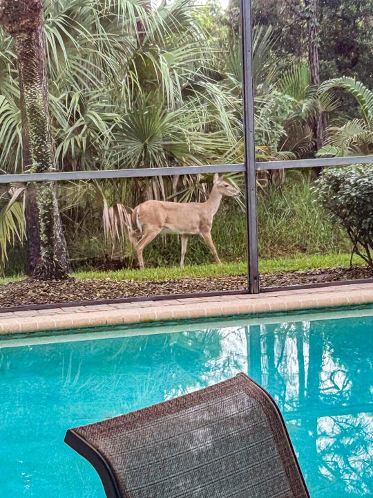 For Sale: $615,000 (3 beds, 2 baths, 2010 Square Feet)