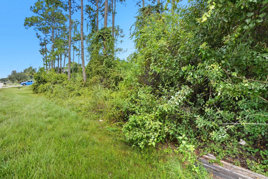 合同活跃: $145,000 (0 贝兹, 0 浴室, 0 平方英尺)